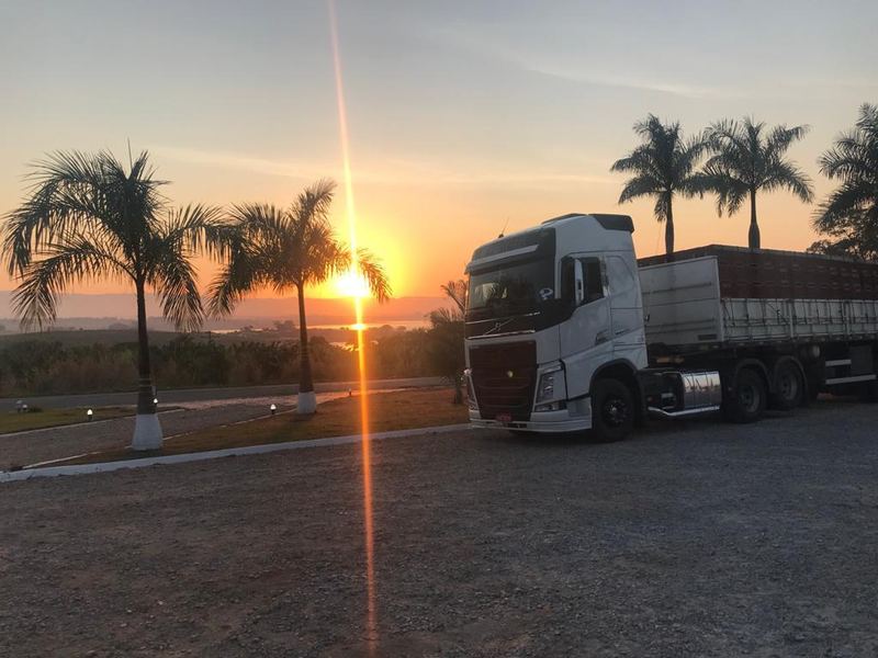 Bananas em caixas para distribuidores